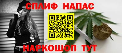 ешки Бердск