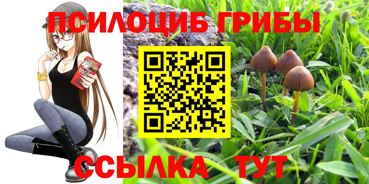 Псилоцибиновые грибы Psilocybe  Вход с VPN  Артём 